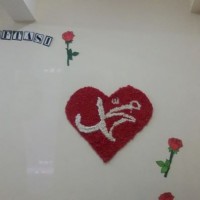 kutlu doğüm ,kurban bayramı ,artık materyal ,kağit işleri ,sınıf süsü ,anneler günü ,babalar günü ,gelişim raporu  (3090)