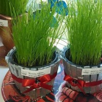 kutlu doğüm ,kurban bayramı ,artık materyal ,kağit işleri ,sınıf süsü ,anneler günü ,babalar günü ,gelişim raporu  (3215)