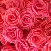 kutlu doğüm ,kurban bayramı ,artık materyal ,kağit işleri ,sınıf süsü ,anneler günü ,babalar günü ,gelişim raporu  (3257)