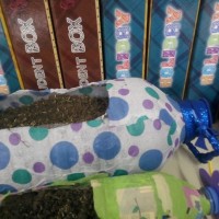 kutlu doğüm ,kurban bayramı ,artık materyal ,kağit işleri ,sınıf süsü ,anneler günü ,babalar günü ,gelişim raporu  (3434)