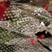 kutlu doğüm ,kurban bayramı ,artık materyal ,kağit işleri ,sınıf süsü ,anneler günü ,babalar günü ,gelişim raporu  (3514)