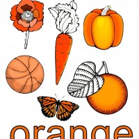 mandala çalişması kağit işleri,sınıf süslemesi fen etkinlikleri  yesilay haftası (1)