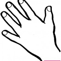 mandala çalişması kağit işleri,sınıf süslemesi fen etkinlikleri  yesilay haftası (100)