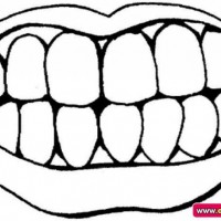 mandala çalişması kağit işleri,sınıf süslemesi fen etkinlikleri  yesilay haftası (102)