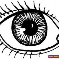 mandala çalişması kağit işleri,sınıf süslemesi fen etkinlikleri  yesilay haftası (103)