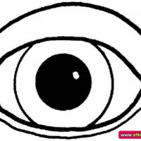 mandala çalişması kağit işleri,sınıf süslemesi fen etkinlikleri  yesilay haftası (106)