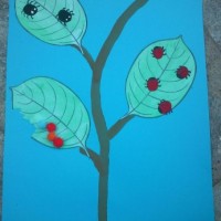 mandala çalişması kağit işleri,sınıf süslemesi fen etkinlikleri  yesilay haftası (115)