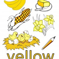 mandala çalişması kağit işleri,sınıf süslemesi fen etkinlikleri  yesilay haftası (12)