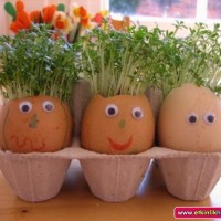 mandala çalişması kağit işleri,sınıf süslemesi fen etkinlikleri  yesilay haftası (13)