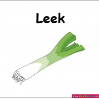 mandala çalişması kağit işleri,sınıf süslemesi fen etkinlikleri  yesilay haftası (134)