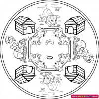 mandala çalişması kağit işleri,sınıf süslemesi fen etkinlikleri  yesilay haftası (141)