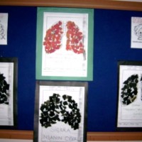 mandala çalişması kağit işleri,sınıf süslemesi fen etkinlikleri  yesilay haftası (16)