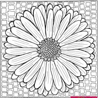 mandala çalişması kağit işleri,sınıf süslemesi fen etkinlikleri  yesilay haftası (168)