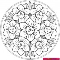 mandala çalişması kağit işleri,sınıf süslemesi fen etkinlikleri  yesilay haftası (198)