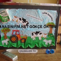 mandala çalişması kağit işleri,sınıf süslemesi fen etkinlikleri  yesilay haftası (24)