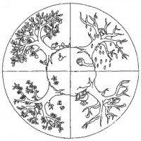 mandala çalişması kağit işleri,sınıf süslemesi fen etkinlikleri  yesilay haftası (26)