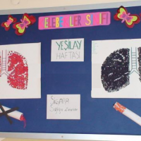 mandala çalişması kağit işleri,sınıf süslemesi fen etkinlikleri  yesilay haftası (3)