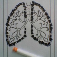 mandala çalişması kağit işleri,sınıf süslemesi fen etkinlikleri  yesilay haftası (52)