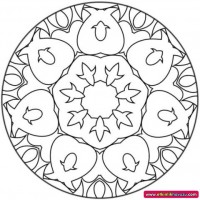 mandala çalişması kağit işleri,sınıf süslemesi fen etkinlikleri  yesilay haftası (56)