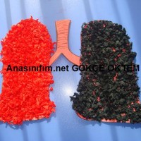 mandala çalişması kağit işleri,sınıf süslemesi fen etkinlikleri  yesilay haftası (60)