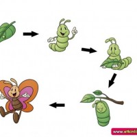 mandala çalişması kağit işleri,sınıf süslemesi fen etkinlikleri  yesilay haftası (60)