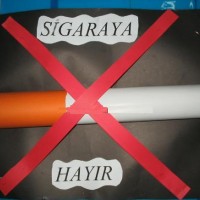 mandala çalişması kağit işleri,sınıf süslemesi fen etkinlikleri  yesilay haftası (64)