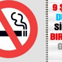 mandala çalişması kağit işleri,sınıf süslemesi fen etkinlikleri  yesilay haftası (69)