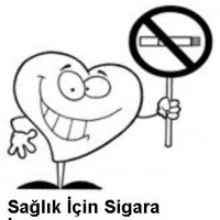 mandala çalişması kağit işleri,sınıf süslemesi fen etkinlikleri  yesilay haftası (70)