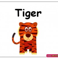 mandala çalişması kağit işleri,sınıf süslemesi fen etkinlikleri  yesilay haftası (9)