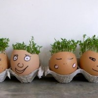 okul öncesi kağit işleri ,duvar süsü ,suluboya çalişması (71)