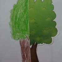 okul öncesınde kağit işler, duvar süsü ,davetiye kartları ,suluboya  çalişması (4309)