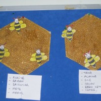 okul öncesınde kağit işler, duvar süsü ,davetiye kartları ,suluboya  çalişması (5360)