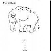 okul öncesınde kağit işler, duvar süsü ,davetiye kartları ,suluboya  çalişması (5378)