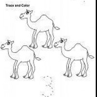 okul öncesınde kağit işler, duvar süsü ,davetiye kartları ,suluboya  çalişması (5384)