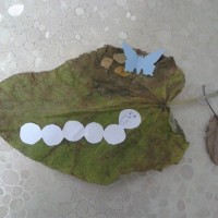 okul öncesınde kağit işler, duvar süsü ,davetiye kartları ,suluboya  çalişması (5448)