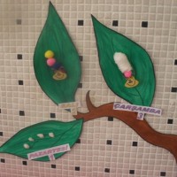 okul öncesınde kağit işler, duvar süsü ,davetiye kartları ,suluboya  çalişması (5558)