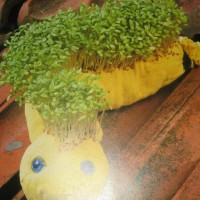 okul öncesınde kağit işler, duvar süsü ,davetiye kartları ,suluboya  çalişması (5582)