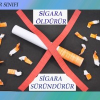 okul öncesınde kağit işler, duvar süsü ,davetiye kartları ,suluboya  çalişması (5888)