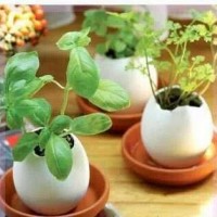 okul öncesınde kağit işler, duvar süsü ,davetiye kartları ,suluboya  çalişması (6245)