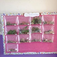 okul öncesınde kağit işler, duvar süsü ,davetiye kartları ,suluboya  çalişması (6394)