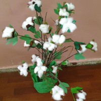 okul öncesınde kağit işler, duvar süsü ,davetiye kartları ,suluboya  çalişması (6593)