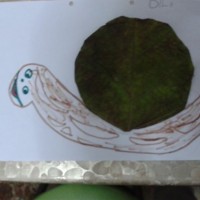 okul öncesınde kağit işler, duvar süsü ,davetiye kartları ,suluboya  çalişması (6876)