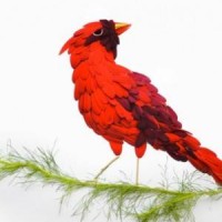 okul öncesınde kağit işler, duvar süsü ,davetiye kartları ,suluboya  çalişması (6900)