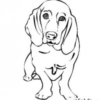 okul öncesınde sağlık haftası ,kağit işleri maske hayvanlar engelliler haftasi ,meyveler ,meslekler sayılar (1919)