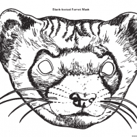 okul öncesınde sağlık haftası ,kağit işleri maske hayvanlar engelliler haftasi ,meyveler ,meslekler sayılar (1921)