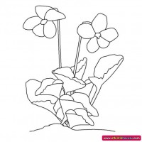 okul öncesınde sağlık haftası ,kağit işleri maske hayvanlar engelliler haftasi ,meyveler ,meslekler sayılar (1922)