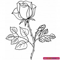 okul öncesınde sağlık haftası ,kağit işleri maske hayvanlar engelliler haftasi ,meyveler ,meslekler sayılar (1926)