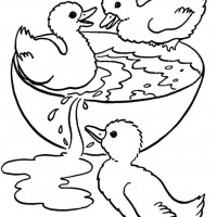 okul öncesınde sağlık haftası ,kağit işleri maske hayvanlar engelliler haftasi ,meyveler ,meslekler sayılar (1932)