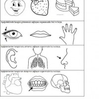okul öncesınde sağlık haftası ,kağit işleri maske hayvanlar engelliler haftasi ,meyveler ,meslekler sayılar (1937)
