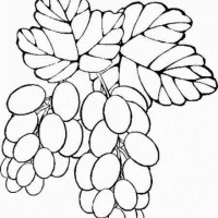 okul öncesınde sağlık haftası ,kağit işleri maske hayvanlar engelliler haftasi ,meyveler ,meslekler sayılar (1937)